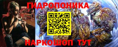 шишки Сланцы