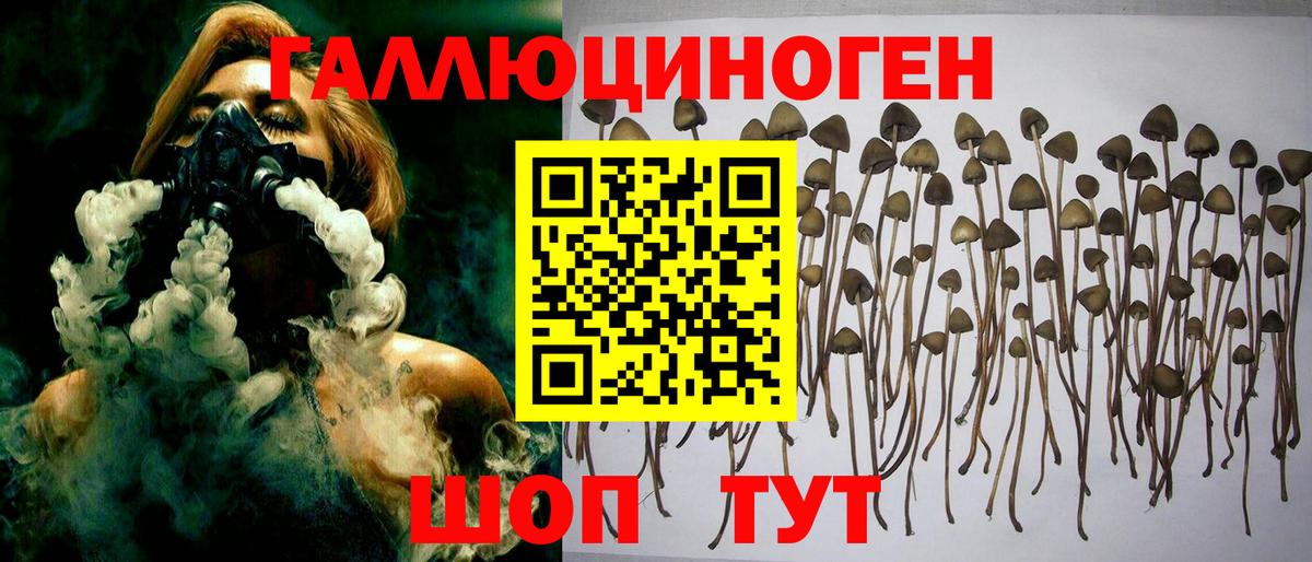 Псилоцибиновые грибы Cubensis  Псилоцибиновые грибы мухоморы  дарнет шоп  Вход с VPN  Оренбург 